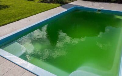 The Importance of Pool Cleaning and Maintenance to Prevent Algae Growth