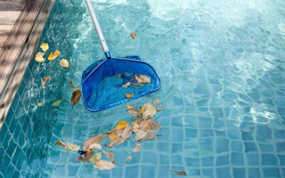 Why Pool Maintenance Is More Than Just Skimming the Surface